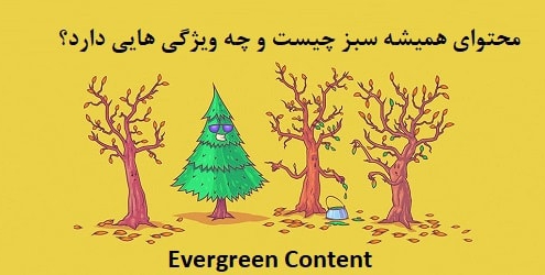 اهمیت محتوای همیشه سبز برای سایت