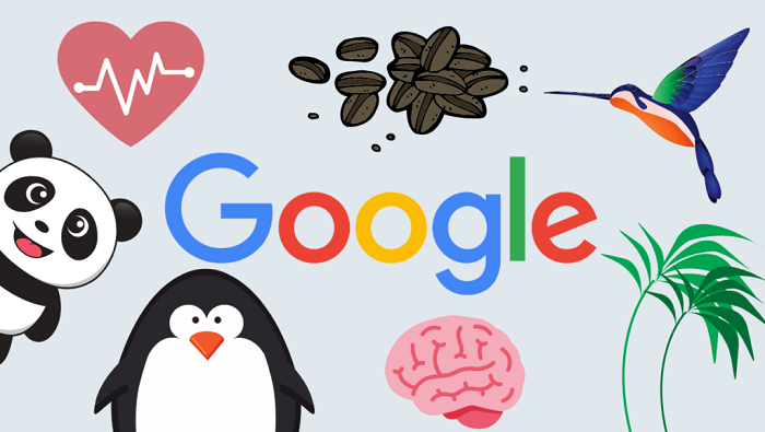 برخی از مهمترین الگوریتم های موتور جستجوی گوگل